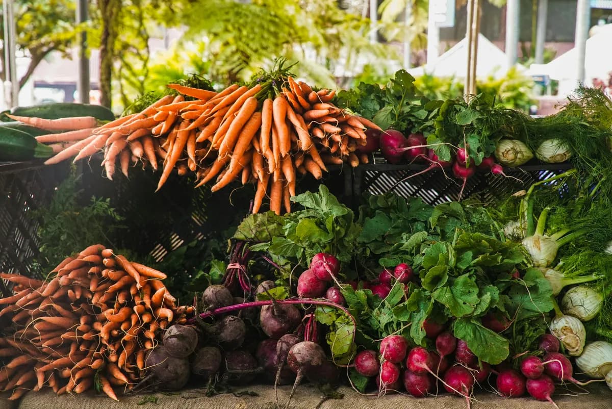 The Benefits of a High-Fiber Diet for Managing Blood Sugar